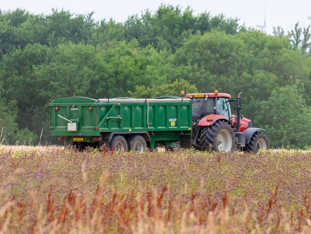 Tractor and trailer in field, with wind turbines beyond.