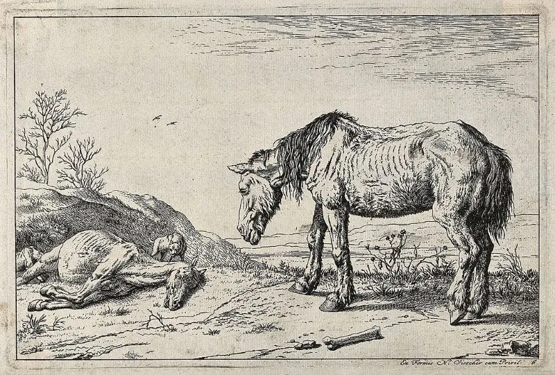 Pen and ink etching of an ill and emaciated horse standing next to and looking down on a dead horse.