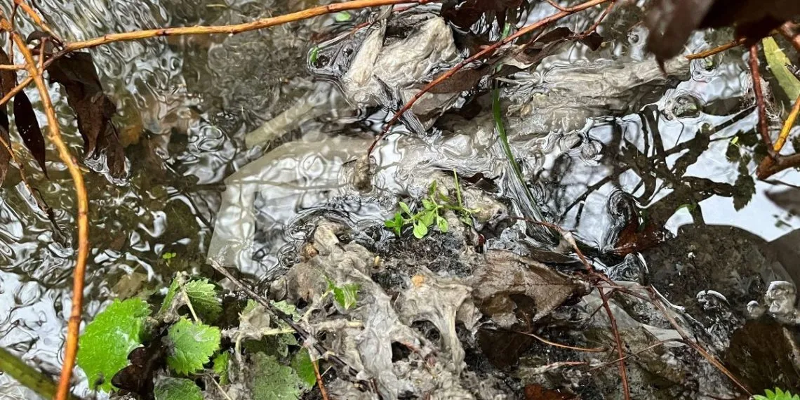 Pollution in the River Blyth